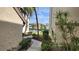 Community pool area surrounded by lush landscaping and palm trees at 2205 Belleair Rd # A36, Clearwater, FL 33764