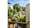 Community pool area surrounded by lush landscaping and palm trees at 2205 Belleair Rd # A36, Clearwater, FL 33764