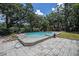 Backyard featuring a pool surrounded by lush landscaping at 2353 Dora Dr, Clearwater, FL 33765