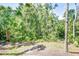 Beautiful lot overgrown with native Florida vegetation awaiting your dream home at 4968 Anniston Cir, Tampa, FL 33647