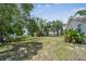 Expansive backyard with mature trees, offering ample space for recreation and outdoor activities at 556 Virginia St, Dunedin, FL 34698