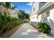 Long driveway between lush hedges and the house with a peek at the backyard beyond at 790 36Th N Ave, St Petersburg, FL 33704