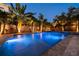 Night shot of the pool surrounded by palm trees and tropical plants illuminated by landscape lighting at 790 36Th N Ave, St Petersburg, FL 33704