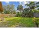 Lush green backyard with a well-maintained lawn and privacy fence at 854 Village Way, Palm Harbor, FL 34683