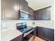 Close-up of the kitchen featuring modern appliances, quartz countertops, tile backsplash, and dark wood cabinets at 9324 Rally Spring Loop, Wesley Chapel, FL 33545