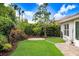 Beautifully landscaped backyard with lush green grass, tropical plants and a serene, private atmosphere at 10231 Millport Dr, Tampa, FL 33626