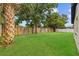 Large, grassy backyard with a wooden fence line and mature trees offering shade, perfect for outdoor activities at 10701 Glen Ivy Ln, Tampa, FL 33624