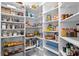 Walk-in pantry with ample storage space with well organized goods on the shelves and in baskets at 17124 Crawley Rd, Odessa, FL 33556