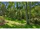 Lush, verdant backyard featuring mature trees, manicured lawn, and vibrant greenery at 17318 Emerald Chase Dr, Tampa, FL 33647
