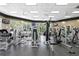 Community gym with abundant windows, ceiling fans, televisions, and a full range of exercise equipment at 17318 Emerald Chase Dr, Tampa, FL 33647