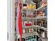Organized walk-in pantry featuring ample shelving space at 17318 Emerald Chase Dr, Tampa, FL 33647