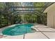 Screened-in pool surrounded by lush greenery and mature trees, offering a private oasis at 17318 Emerald Chase Dr, Tampa, FL 33647