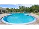 Relax by the resort style pool surrounded by lush landscaping, lounge chairs, and tables with umbrellas at 17318 Emerald Chase Dr, Tampa, FL 33647