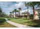 Charming street view featuring a lovely home with a well-manicured lawn and mature palm trees at 20039 Heritage Point Dr, Tampa, FL 33647