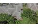 Overhead picture of the townhome rooftops surrounded by verdant trees and peaceful surroundings at 2220 Chianti Pl # 8-0828, Palm Harbor, FL 34683