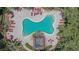 Overhead view of pool surrounded by lounge chairs, lush tropical plants, and greenery at 2220 Chianti Pl # 8-0828, Palm Harbor, FL 34683