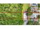 This aerial view shows a pond and the home's proximity to a lush natural area at 3001 Regal Oaks Blvd, Palm Harbor, FL 34684