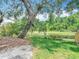 Lush backyard featuring mature trees, a water view, and a rope swing for endless outdoor fun at 3001 Regal Oaks Blvd, Palm Harbor, FL 34684