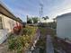 Landscaped backyard featuring a rock ground cover, garden plants, and a pathway leading to the storage shed at 3357 Hunt Club Dr, Clearwater, FL 33761