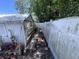 Side yard features a white fence, some foliage and storage shed at 4104 W North B St, Tampa, FL 33609