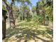 Large grassy backyard with mature shade trees and partial fencing at 5153 Miller Bayou Dr, Port Richey, FL 34668