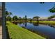 View of the pond from the backyard of the property at 5242 Venice Ne Way, St Petersburg, FL 33703