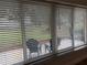 View through blinds from interior looking out onto patio furniture and grass, partially obscured by rain at 6533 Brentwood Dr, Zephyrhills, FL 33542