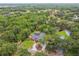Aerial view of a well-maintained property surrounded by lush trees at 6703 Towhe Dr, Seffner, FL 33584