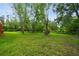 Large backyard with trees and green grass at 6703 Towhe Dr, Seffner, FL 33584