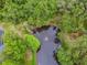 Overhead view of a pond featuring a fountain, surrounded by green foliage and mature trees at 6703 Towhe Dr, Seffner, FL 33584