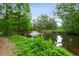 Scenic view of a pond with a fountain, surrounded by lush greenery and mature trees at 6703 Towhe Dr, Seffner, FL 33584