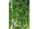 Aerial view showcasing the expansive tree coverage surrounding the property at 10854 Telford St, New Port Richey, FL 34654