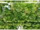 An aerial view shows the tree coverage surrounding the property at 10854 Telford St, New Port Richey, FL 34654