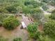 Aerial view featuring lush, mature trees surrounding the property and backyard at 1204 Ballinger Rd, Lutz, FL 33548