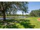 A serene backyard view features a tranquil pond, lush green lawn, and a charming tree swing for relaxation at 12309 Creek Edge Dr, Riverview, FL 33579