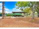 Community picnic area with tables, BBQ grills, shade, and a lush green lawn under a bright blue sky at 13523 Prestwick Dr, Riverview, FL 33579