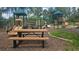 A vibrant community playground featuring slides, climbing structures, and a picnic table for outdoor fun at 17809 Sandpine Trace Way, Tampa, FL 33647