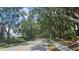 A tree-lined street and sidewalk in a lush community at 17809 Sandpine Trace Way, Tampa, FL 33647