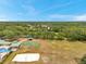 Aerial view featuring a community park with basketball, volleyball and sports fields surrounded by a canopy of trees at 19156 Dove Creek Dr, Tampa, FL 33647