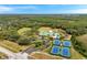 A wide aerial view reveals a pool, clubhouse, tennis courts and recreational fields enhanced by mature landscaping at 19156 Dove Creek Dr, Tampa, FL 33647