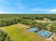 Aerial view of blue tennis and pickleball courts, surrounded by green grass and trees, offer athletic amenities within the community at 19156 Dove Creek Dr, Tampa, FL 33647