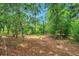 Beautiful treed lot with a gorgeous forest and nature views at 19156 Dove Creek Dr, Tampa, FL 33647