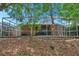 Expansive backyard featuring a screened-in pool and patio area, providing ample space for outdoor enjoyment at 19156 Dove Creek Dr, Tampa, FL 33647