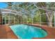 A relaxing screened-in pool surrounded by trees, perfect for enjoying the outdoors in privacy at 19156 Dove Creek Dr, Tampa, FL 33647