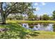 A serene pond view surrounded by lush greenery and beautiful condominium buildings at 2412 Hammock Pine Blvd, Clearwater, FL 33761