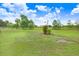 Scenic backyard featuring lush grass, mature trees, and distant views of the neighborhood at 2502 Fritzke Rd, Dover, FL 33527