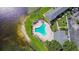 Overhead view of a community pool, adjacent to the lake, with lounge chairs and lush landscaping at 2557 Cedar Cypress Ct, Tampa, FL 33618