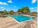 Community swimming pool surrounded by lounge chairs and lots of green trees at 2557 Cedar Cypress Ct, Tampa, FL 33618