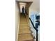 Carpeted staircase with dark wood railing, leading to the upper level of the home at 2557 Cedar Cypress Ct, Tampa, FL 33618