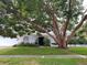 Charming single-story home with stucco facade, mature tree, arched accents, and well-maintained landscaping at 3200 Sandy Ridge Dr, Clearwater, FL 33761